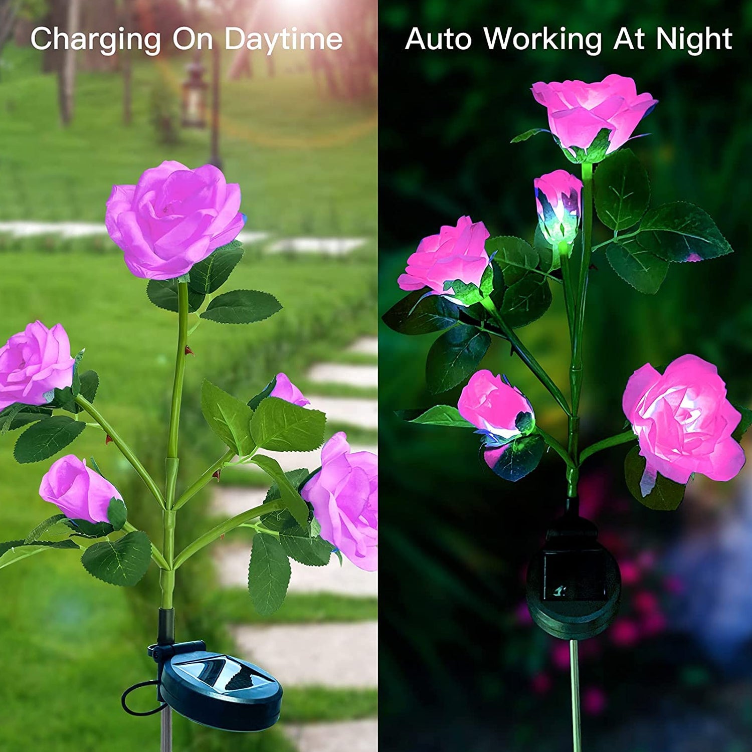 Solar Garden Rose Lights – Waterproof RGB Color Changing | FitFuzion - Image 2
